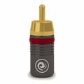 PLANET WAVES STRCAP50 50 PACK OF RCA CONNECTORS GOLD PLATED